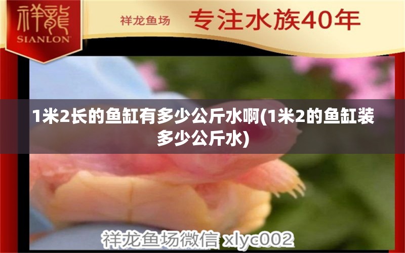 1米2长的鱼缸有多少公斤水啊(1米2的鱼缸装多少公斤水) 广州水族器材滤材批发市场 第1张