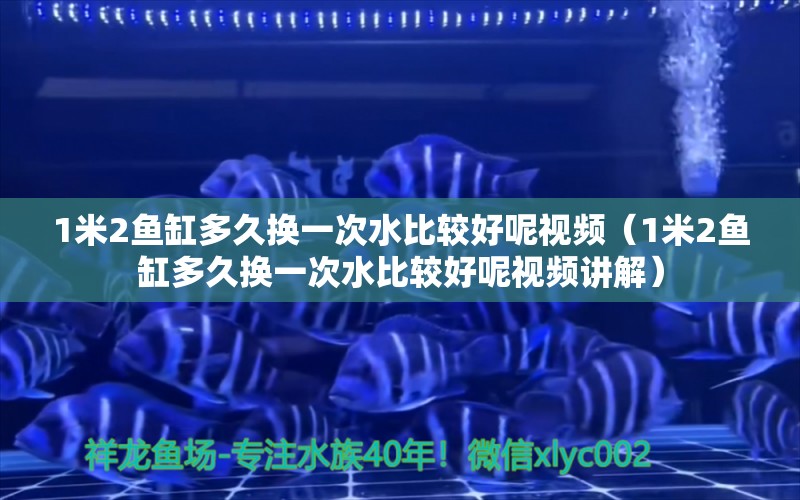 1米2鱼缸多久换一次水比较好呢视频（1米2鱼缸多久换一次水比较好呢视频讲解） 鱼缸百科