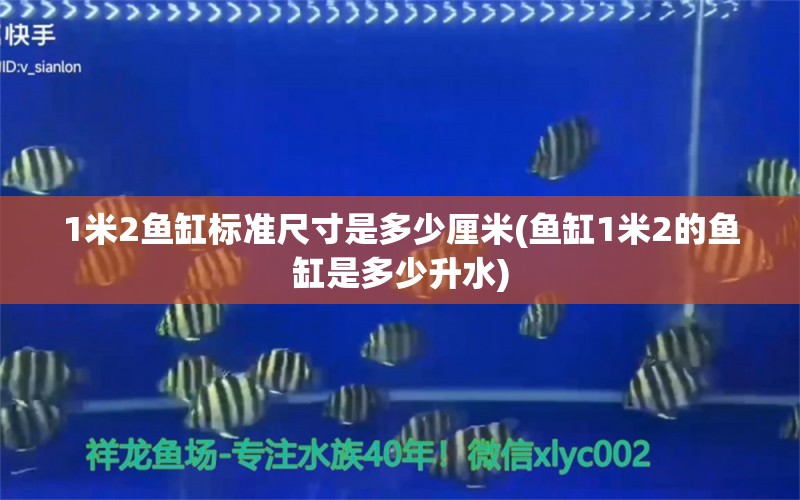 1米2鱼缸标准尺寸是多少厘米(鱼缸1米2的鱼缸是多少升水)