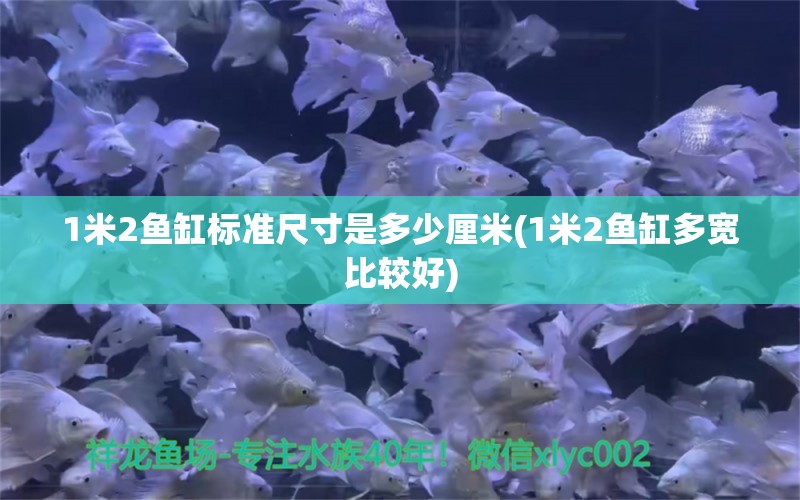 1米2鱼缸标准尺寸是多少厘米(1米2鱼缸多宽比较好)