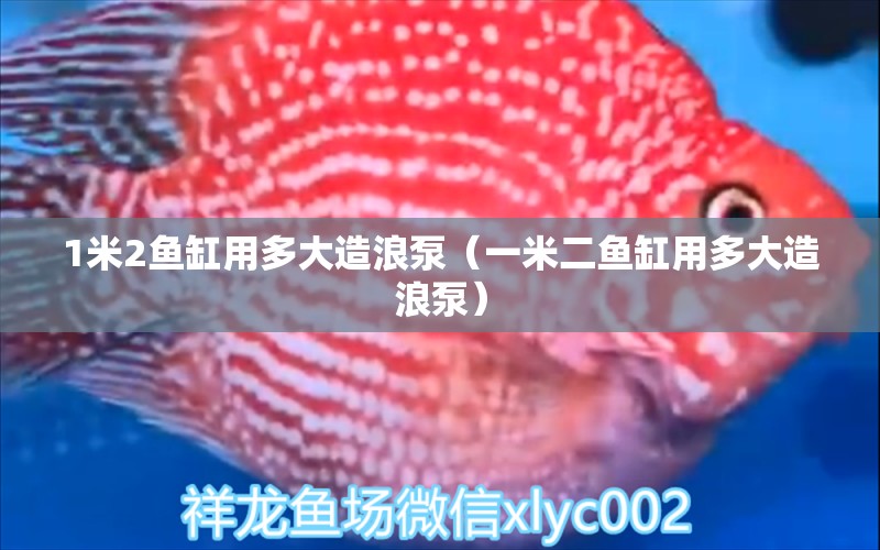 1米2鱼缸用多大造浪泵（一米二鱼缸用多大造浪泵） 鱼缸百科