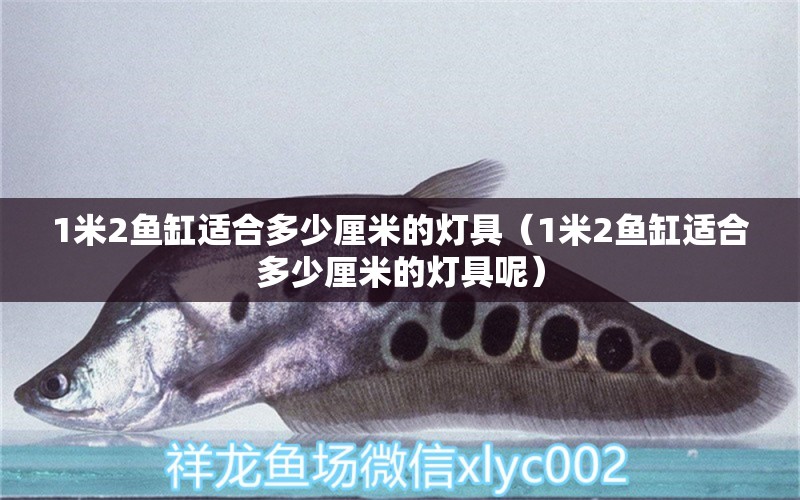 1米2鱼缸适合多少厘米的灯具（1米2鱼缸适合多少厘米的灯具呢） 其他品牌鱼缸