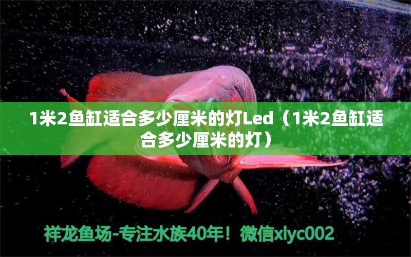 1米2鱼缸适合多少厘米的灯Led（1米2鱼缸适合多少厘米的灯） 其他品牌鱼缸