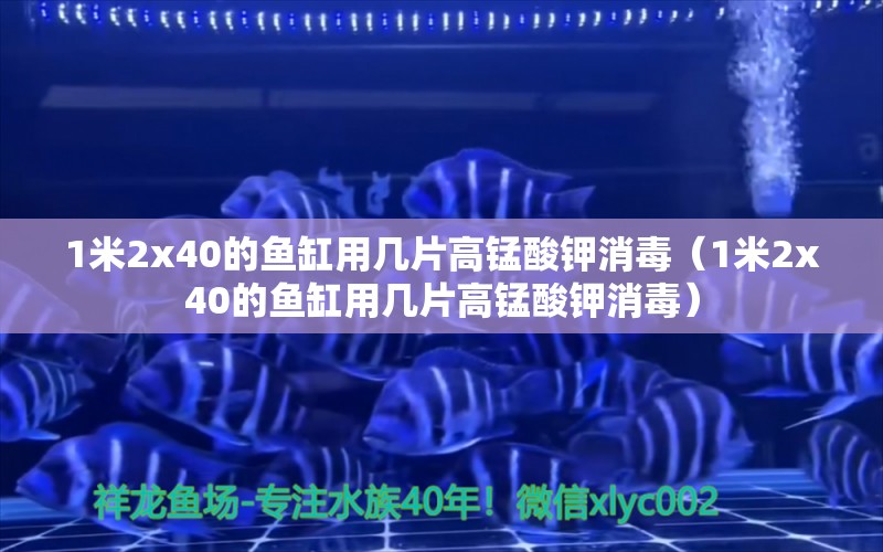 1米2x40的鱼缸用几片高锰酸钾消毒（1米2x40的鱼缸用几片高锰酸钾消毒） 其他品牌鱼缸