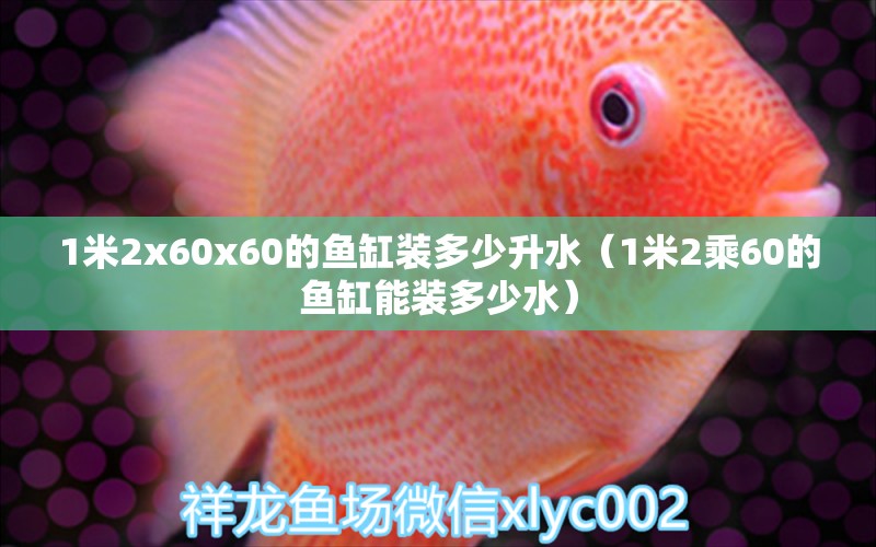 1米2x60x60的鱼缸装多少升水（1米2乘60的鱼缸能装多少水） 鱼缸百科