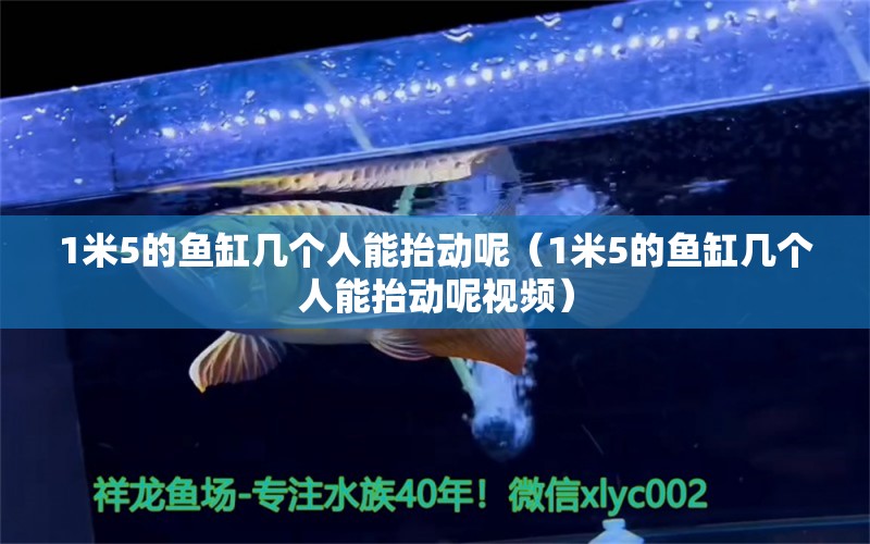 1米5的鱼缸几个人能抬动呢（1米5的鱼缸几个人能抬动呢视频）