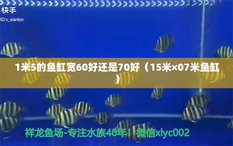 1米5的鱼缸宽60好还是70好（15米×07米鱼缸） 养鱼知识 第1张