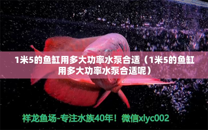 1米5的鱼缸用多大功率水泵合适（1米5的鱼缸用多大功率水泵合适呢） 鱼缸百科