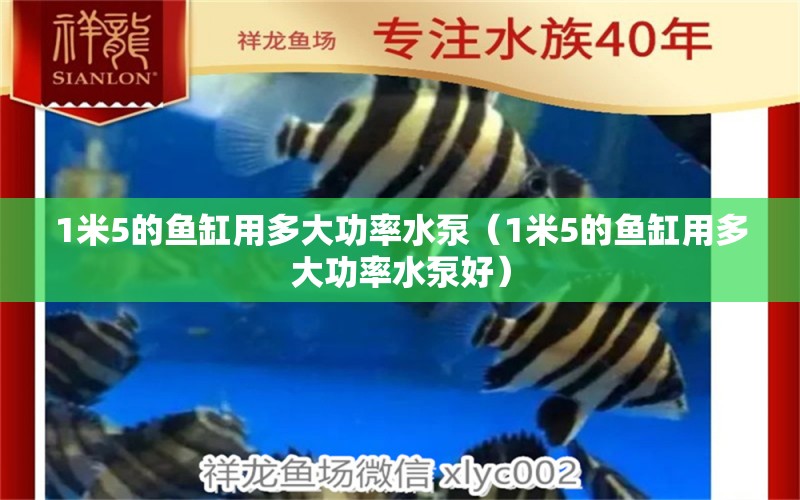 1米5的鱼缸用多大功率水泵（1米5的鱼缸用多大功率水泵好） 其他品牌鱼缸