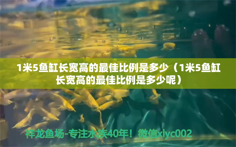 1米5鱼缸长宽高的最佳比例是多少（1米5鱼缸长宽高的最佳比例是多少呢）