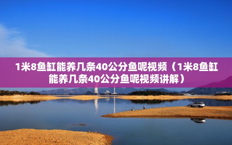 1米8鱼缸能养几条40公分鱼呢视频（1米8鱼缸能养几条40公分鱼呢视频讲解）