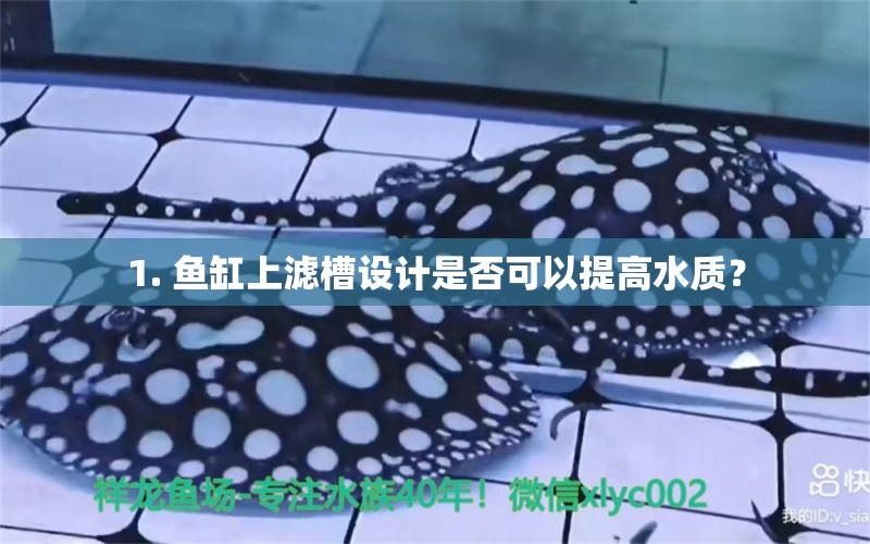 1. 鱼缸上滤槽设计是否可以提高水质？ 水族问答 第1张