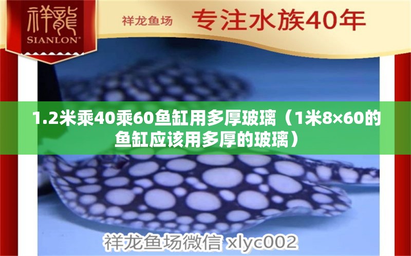 1.2米乘40乘60鱼缸用多厚玻璃（1米8×60的鱼缸应该用多厚的玻璃） 鱼缸百科