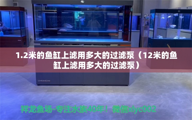 1.2米的鱼缸上滤用多大的过滤泵（12米的鱼缸上滤用多大的过滤泵） 其他品牌鱼缸