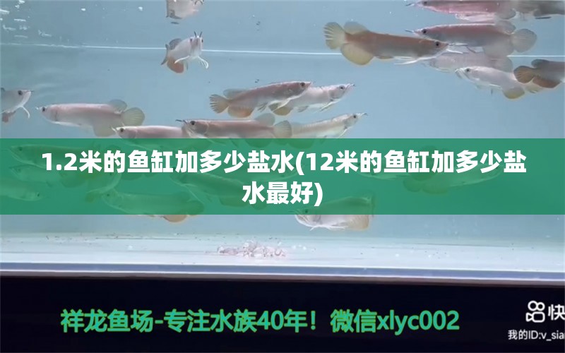 1.2米的鱼缸加多少盐水(12米的鱼缸加多少盐水最好) 三色锦鲤鱼 第1张