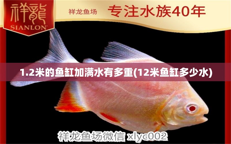 1.2米的鱼缸加满水有多重(12米鱼缸多少水)