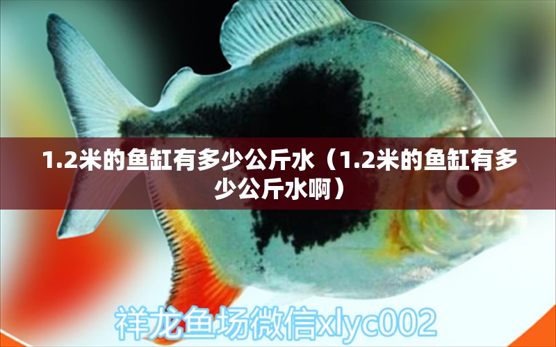 1.2米的鱼缸有多少公斤水（1.2米的鱼缸有多少公斤水啊） 其他品牌鱼缸