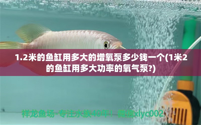 1.2米的鱼缸用多大的增氧泵多少钱一个(1米2的鱼缸用多大功率的氧气泵?)