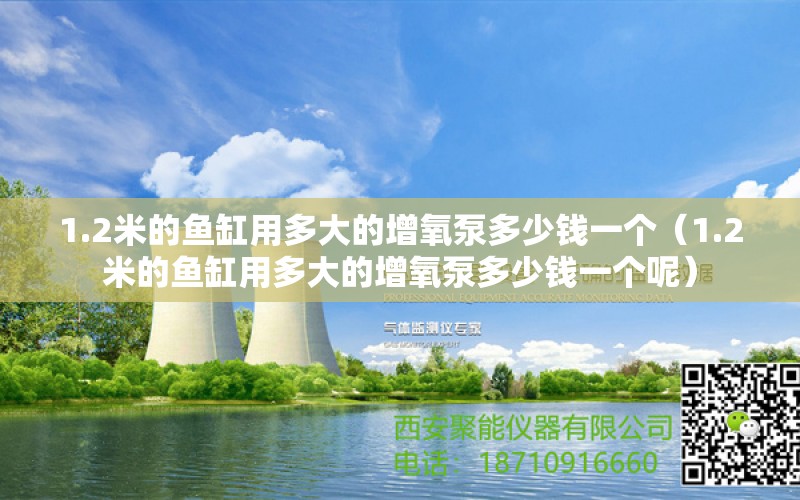 1.2米的鱼缸用多大的增氧泵多少钱一个（1.2米的鱼缸用多大的增氧泵多少钱一个呢）