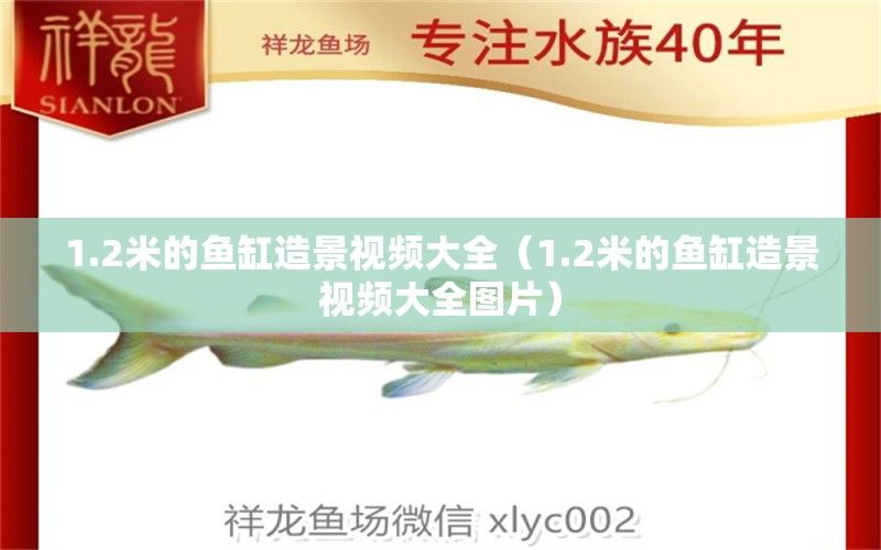 1.2米的鱼缸造景视频大全（1.2米的鱼缸造景视频大全图片） 其他品牌鱼缸