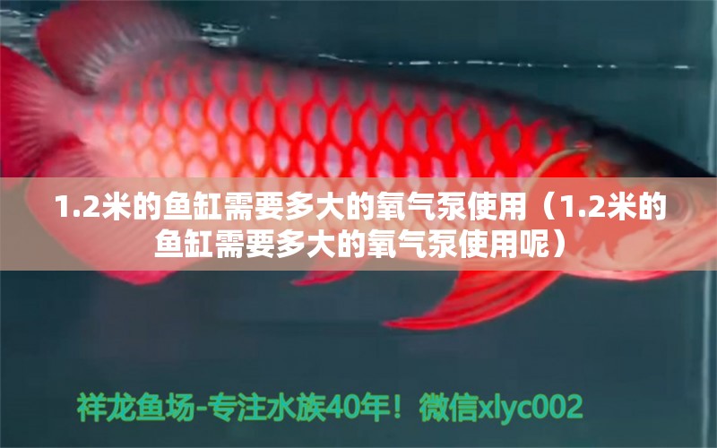 1.2米的鱼缸需要多大的氧气泵使用（1.2米的鱼缸需要多大的氧气泵使用呢）