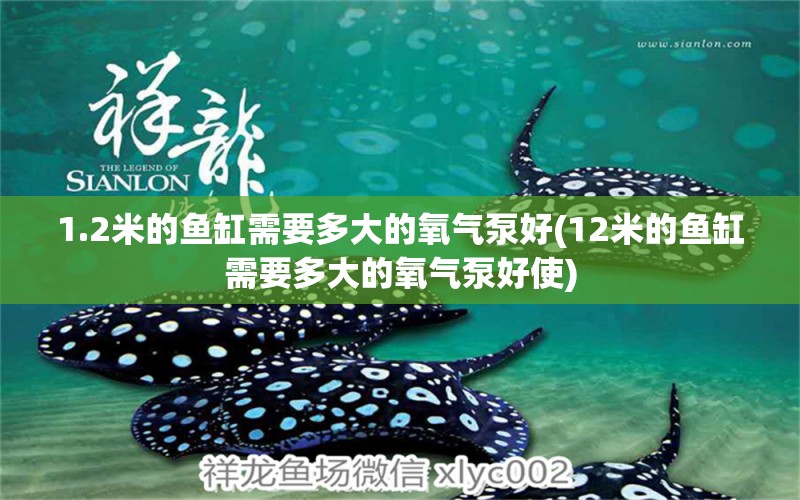 1.2米的鱼缸需要多大的氧气泵好(12米的鱼缸需要多大的氧气泵好使) 观赏鱼企业目录 第1张