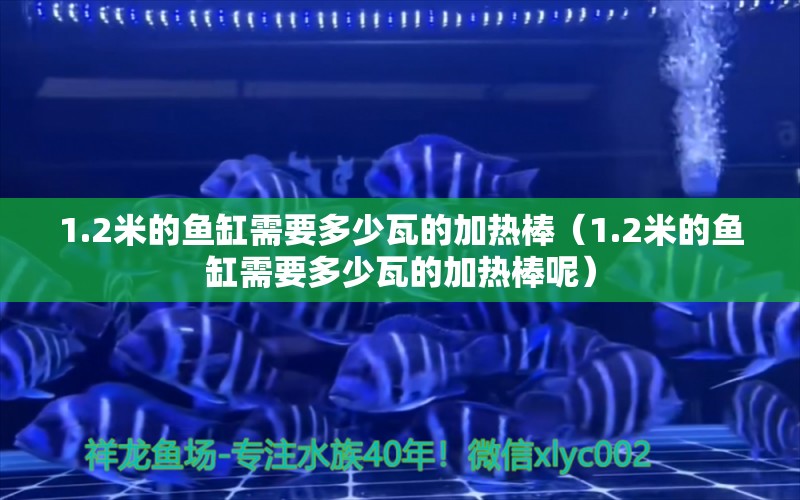 1.2米的鱼缸需要多少瓦的加热棒（1.2米的鱼缸需要多少瓦的加热棒呢） 鱼缸百科