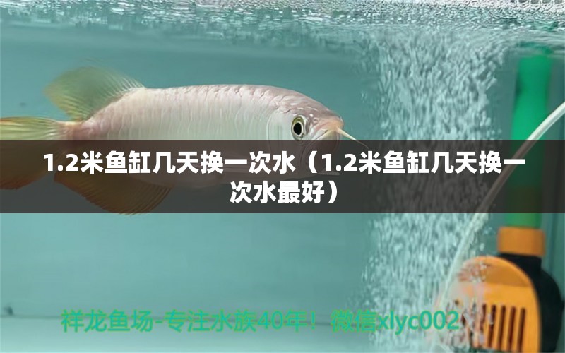 1.2米鱼缸几天换一次水（1.2米鱼缸几天换一次水最好）