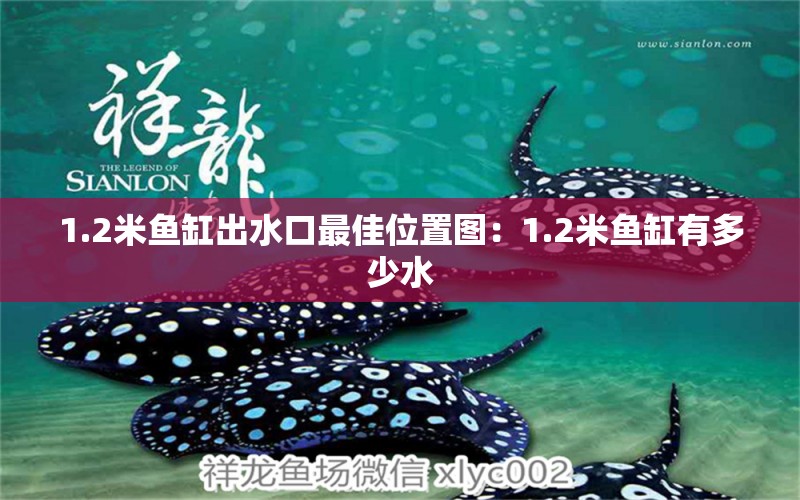 1.2米鱼缸出水口最佳位置图：1.2米鱼缸有多少水