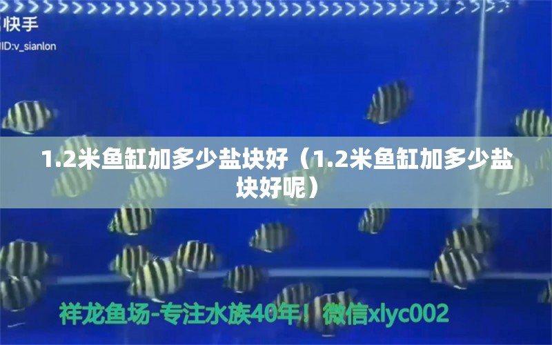 1.2米鱼缸加多少盐块好（1.2米鱼缸加多少盐块好呢）