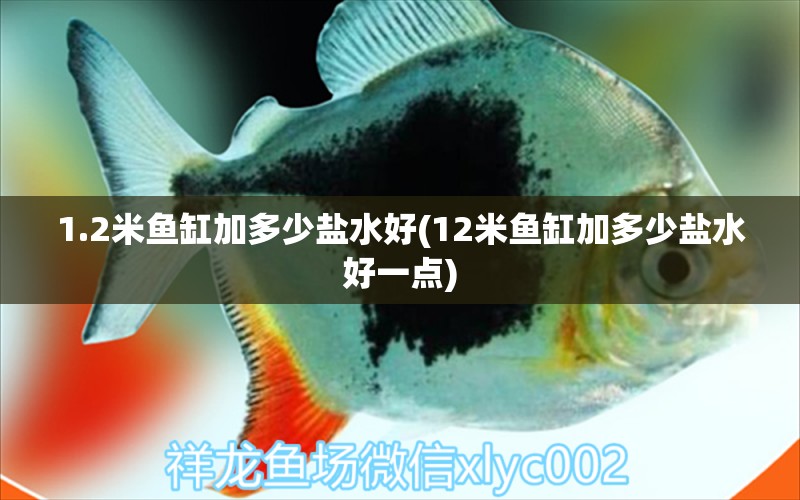 1.2米鱼缸加多少盐水好(12米鱼缸加多少盐水好一点) 水族世界 第1张