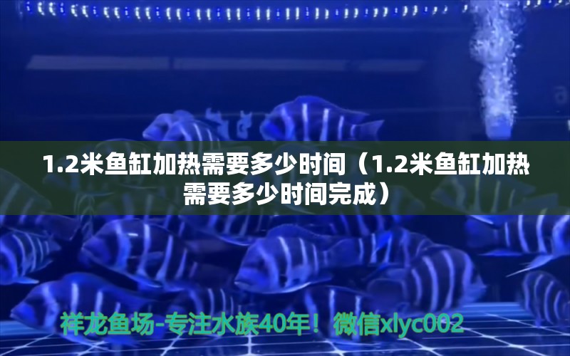 1.2米鱼缸加热需要多少时间（1.2米鱼缸加热需要多少时间完成） 鱼缸百科