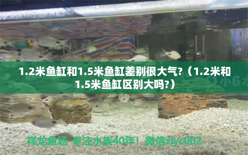 1.2米鱼缸和1.5米鱼缸差别很大气?（1.2米和1.5米鱼缸区别大吗?） 鱼缸百科