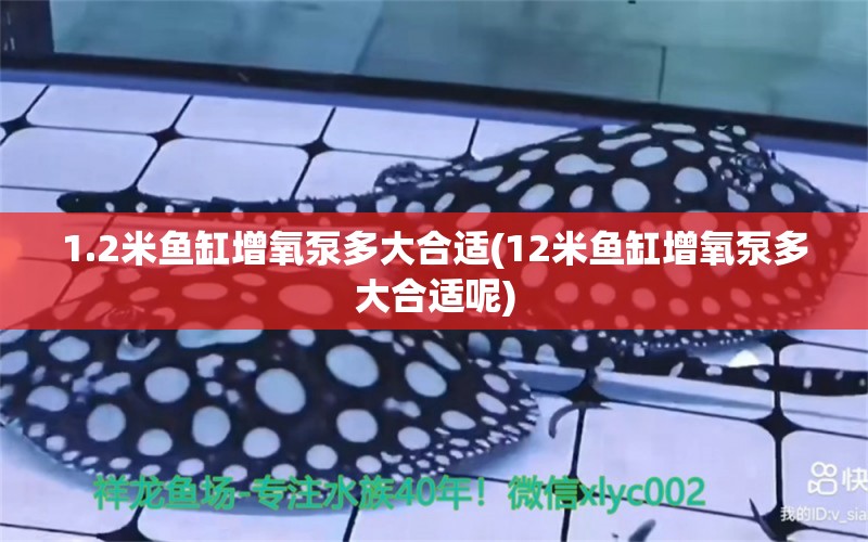 1.2米鱼缸增氧泵多大合适(12米鱼缸增氧泵多大合适呢) 肥料 第1张