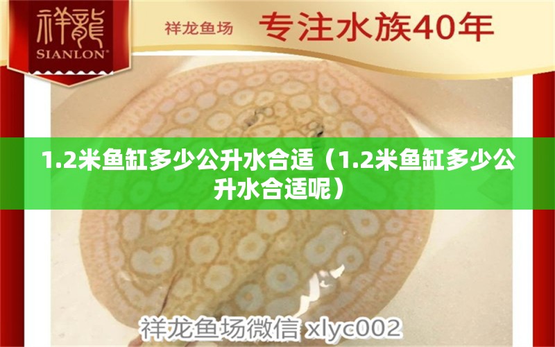 1.2米鱼缸多少公升水合适（1.2米鱼缸多少公升水合适呢）