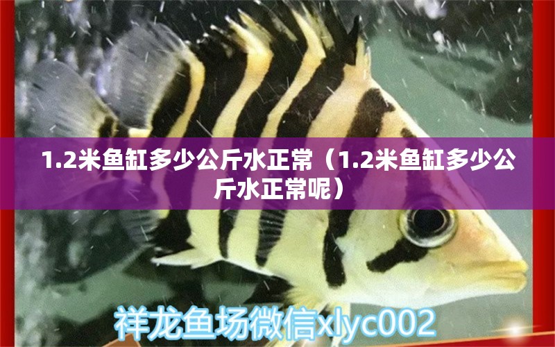 1.2米鱼缸多少公斤水正常（1.2米鱼缸多少公斤水正常呢） 其他品牌鱼缸