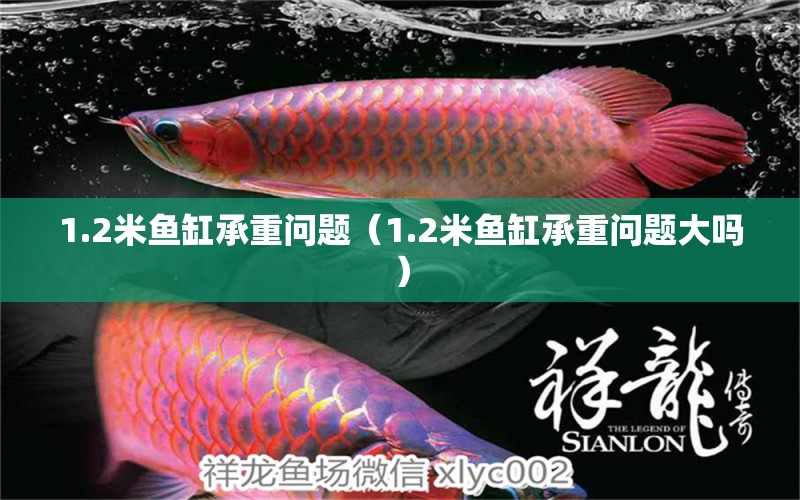 1.2米鱼缸承重问题（1.2米鱼缸承重问题大吗） 其他品牌鱼缸