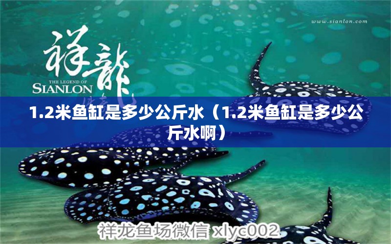 1.2米鱼缸是多少公斤水（1.2米鱼缸是多少公斤水啊） 其他品牌鱼缸