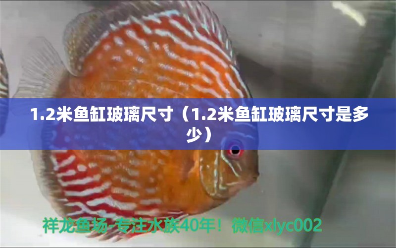 1.2米鱼缸玻璃尺寸（1.2米鱼缸玻璃尺寸是多少）