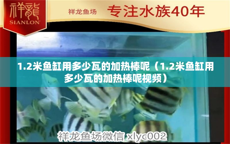 1.2米鱼缸用多少瓦的加热棒呢（1.2米鱼缸用多少瓦的加热棒呢视频） 鱼缸百科