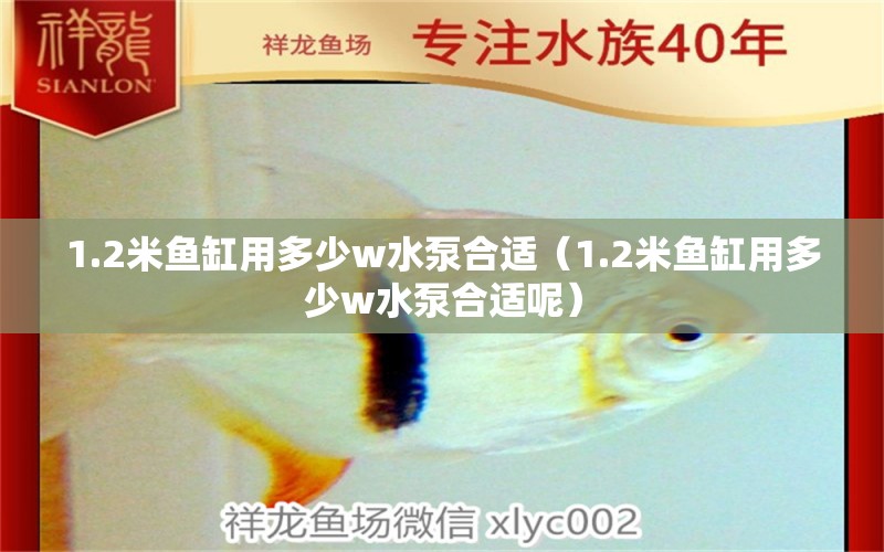 1.2米鱼缸用多少w水泵合适（1.2米鱼缸用多少w水泵合适呢）