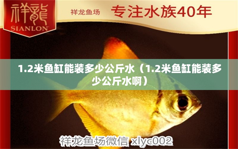 1.2米鱼缸能装多少公斤水（1.2米鱼缸能装多少公斤水啊） 其他品牌鱼缸