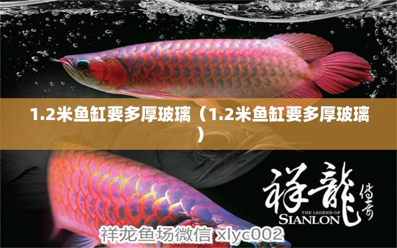 1.2米鱼缸要多厚玻璃（1.2米鱼缸要多厚玻璃） 祥龙水族医院