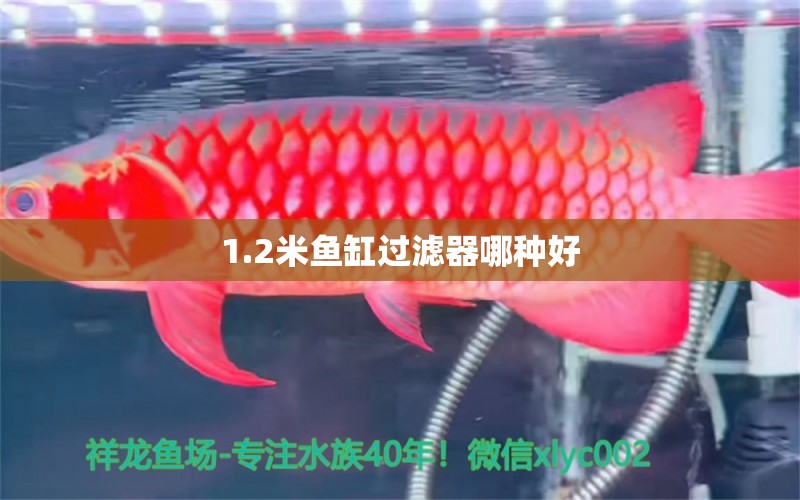 1.2米鱼缸过滤器哪种好