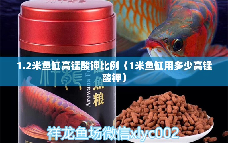 1.2米鱼缸高锰酸钾比例（1米鱼缸用多少高锰酸钾） 鱼缸百科