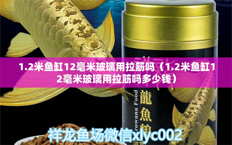 1.2米鱼缸12毫米玻璃用拉筋吗（1.2米鱼缸12毫米玻璃用拉筋吗多少钱）