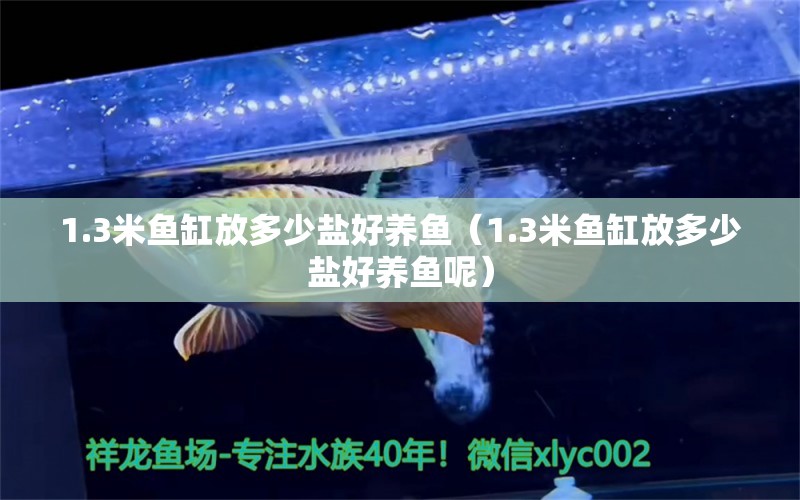 1.3米鱼缸放多少盐好养鱼（1.3米鱼缸放多少盐好养鱼呢） 其他品牌鱼缸