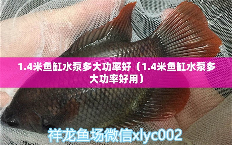 1.4米鱼缸水泵多大功率好（1.4米鱼缸水泵多大功率好用） 鱼缸水泵