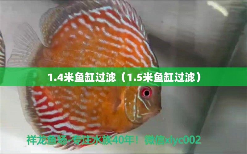 1.4米鱼缸过滤（1.5米鱼缸过滤）