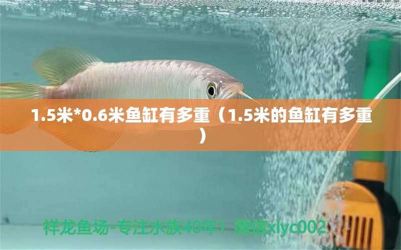 1.5米*0.6米鱼缸有多重（1.5米的鱼缸有多重）